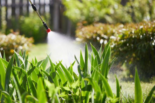 24/7 Emergency Mosquito Control experts in Augusta, KS