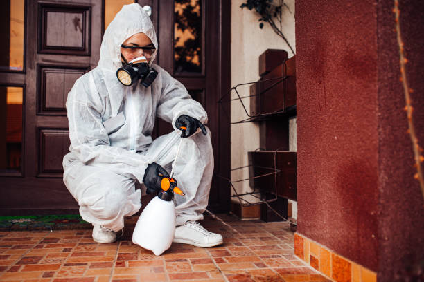 Reliable Mosquito Control contractor in Augusta, KS by Show Me Pest Control